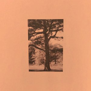 三上悠亚火影Cospplay
